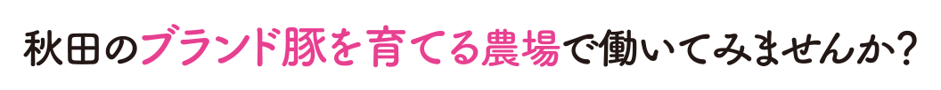 秋田のブランド豚を育てる農場で働いてみませんか